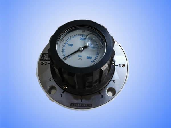  Multi-Circuit Gauge Isolator Valve 